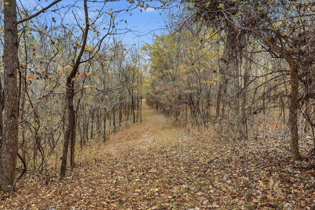 0 Vaughn Lane, Indian Mound, TN 37079