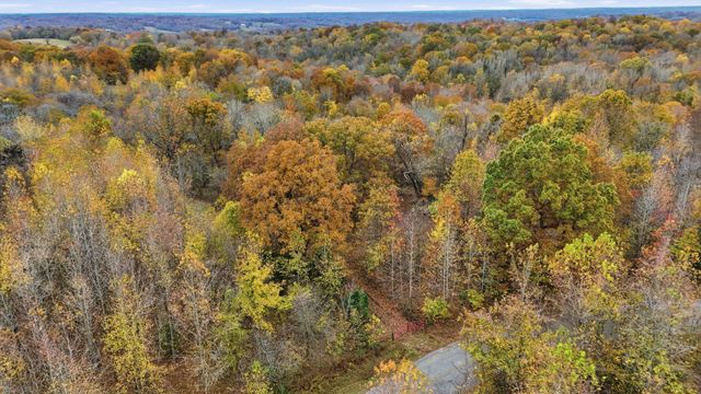 0 Vaughn Lane, Indian Mound, TN 37079