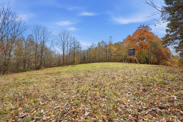0 Vaughn Lane, Indian Mound, TN 37079