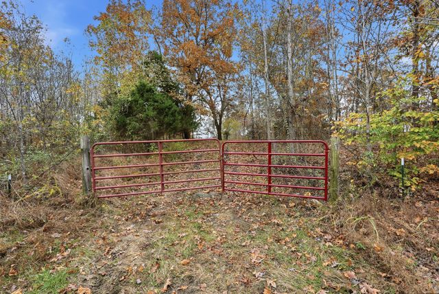 0 Vaughn Lane, Indian Mound, TN 37079