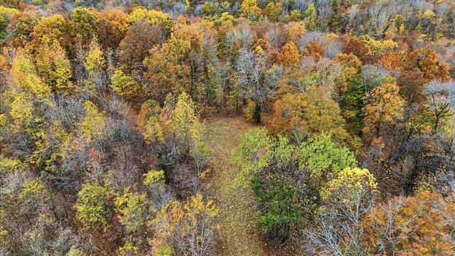 0 Vaughn Lane, Indian Mound, TN 37079