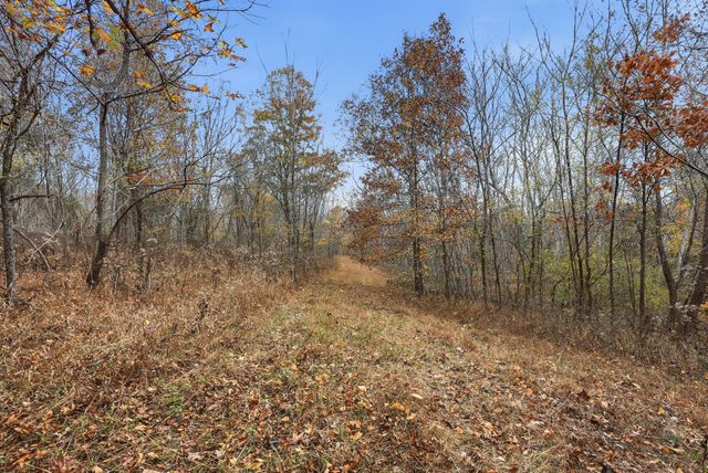 0 Vaughn Lane, Indian Mound, TN 37079