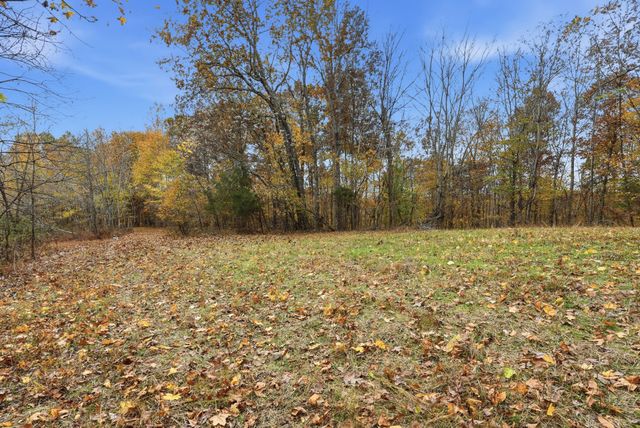 0 Vaughn Lane, Indian Mound, TN 37079