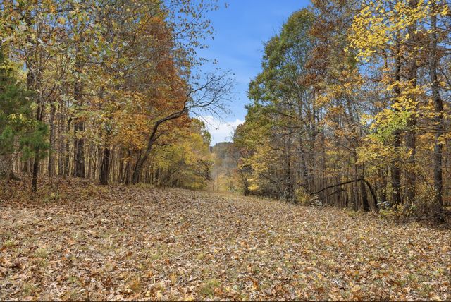 0 Vaughn Lane, Indian Mound, TN 37079