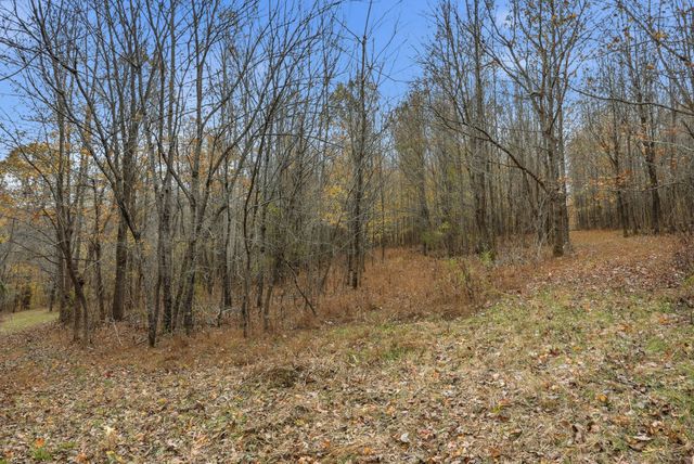 0 Vaughn Lane, Indian Mound, TN 37079