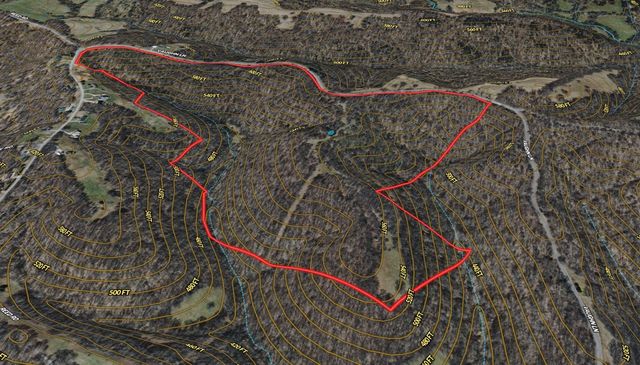 0 Vaughn Lane, Indian Mound, TN 37079