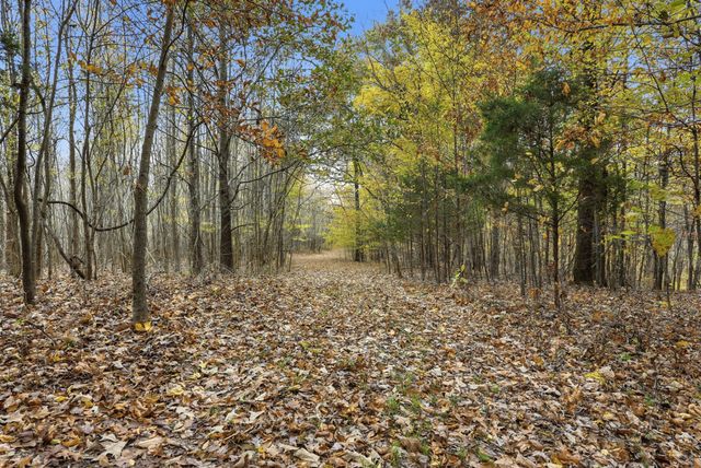 0 Vaughn Lane, Indian Mound, TN 37079