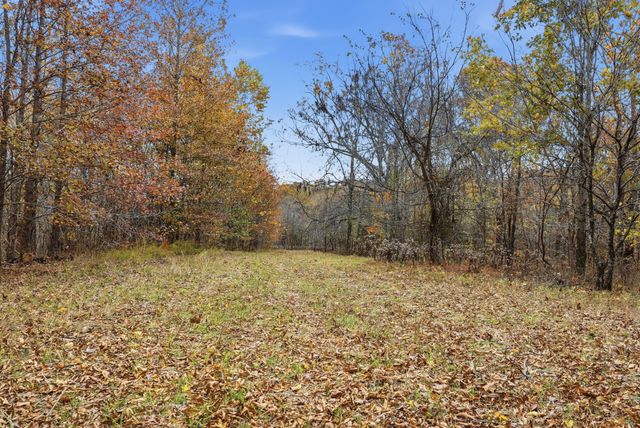 0 Vaughn Lane, Indian Mound, TN 37079