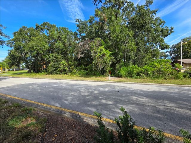 TBD HIGHWAY 42, Summerfield, FL 34491