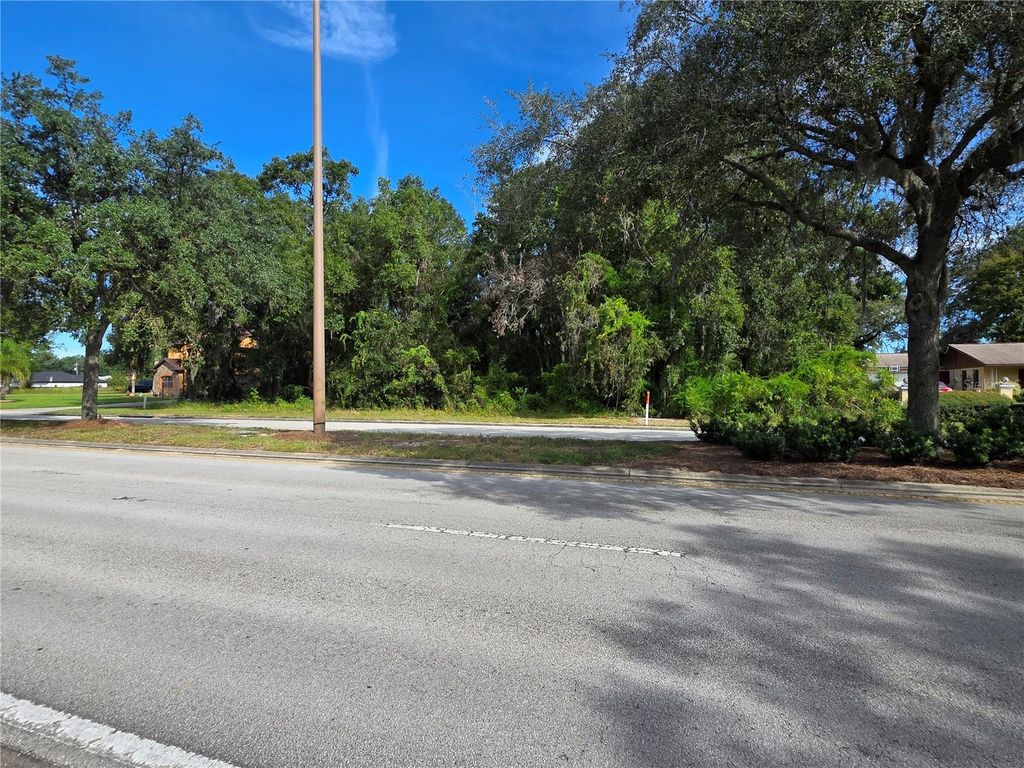 TBD HIGHWAY 42, Summerfield, FL 34491
