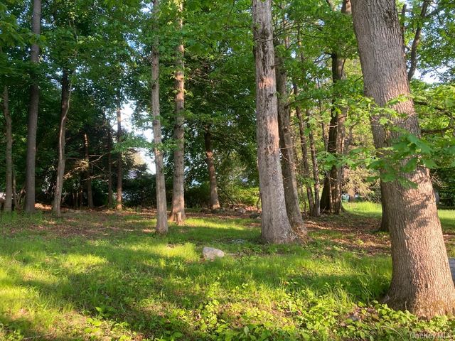 51 Wileman Avenue, Montgomery, NY 12586