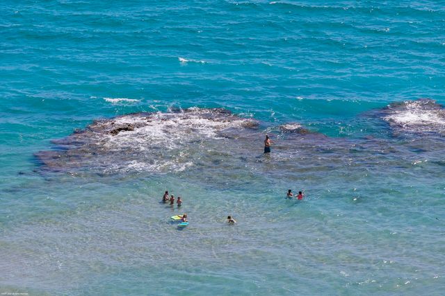 3800 N Ocean Drive 1450, Singer Island, FL 33404