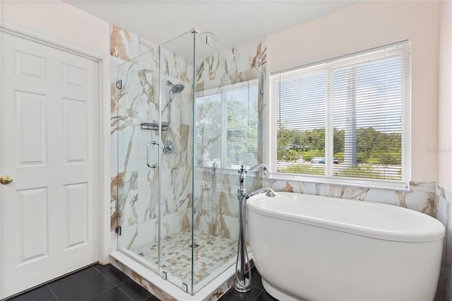10048 STRATFORD POINTE AVENUE, Orlando, FL 32832