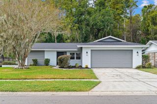 16118 OAKMANOR DRIVE, Tampa, FL 33624