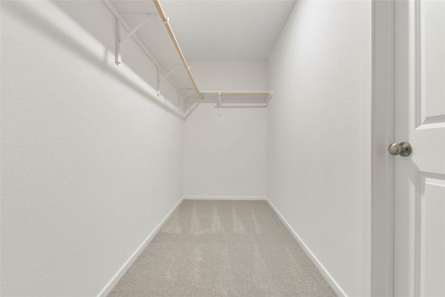 253 Douglas Hills Drive, Magnolia, TX 77354