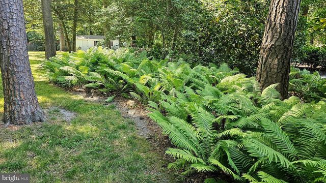 606 TONY TANK LN, Salisbury, MD 21801