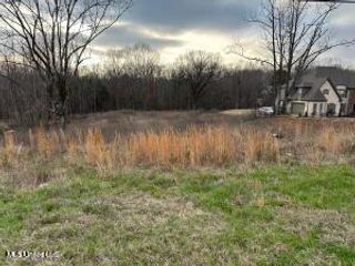 7222 Vaiden Road, Hernando, MS 38632