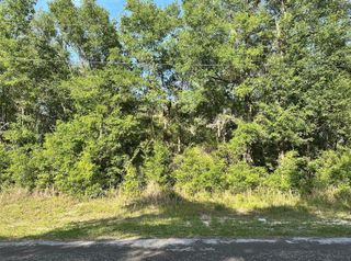 10713 N ADLER DRIVE, Citrus Springs, FL 34434