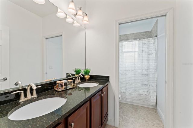 10007 HAZELNUT COURT, Tampa, FL 33647