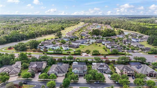 10007 HAZELNUT COURT, Tampa, FL 33647