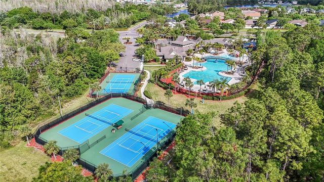 10007 HAZELNUT COURT, Tampa, FL 33647