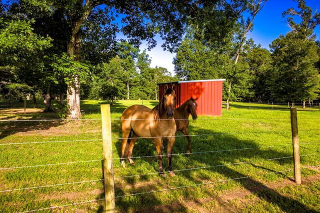 1109 Soda Loop E, Livingston, TX 77351