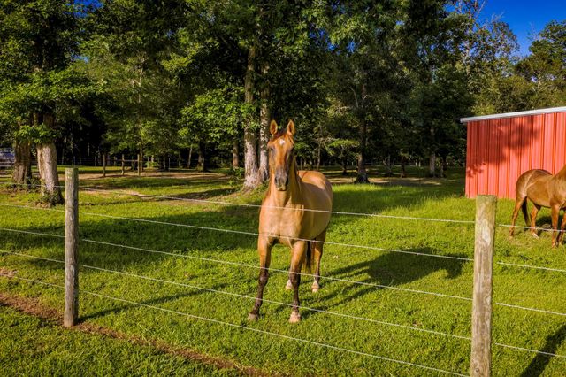 1109 Soda Loop E, Livingston, TX 77351