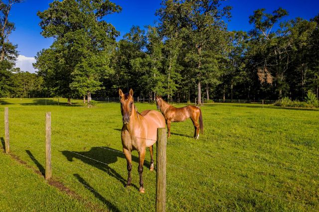 1109 Soda Loop E, Livingston, TX 77351