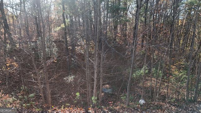 LOT 198 Northshore Drive, Cleveland, GA 30528