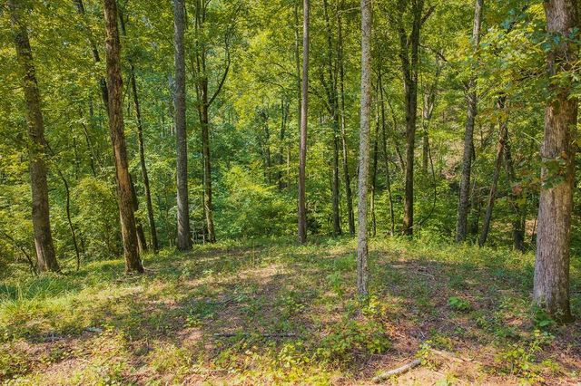 0 Lower Knoll Court, Talking Rock, GA 30175