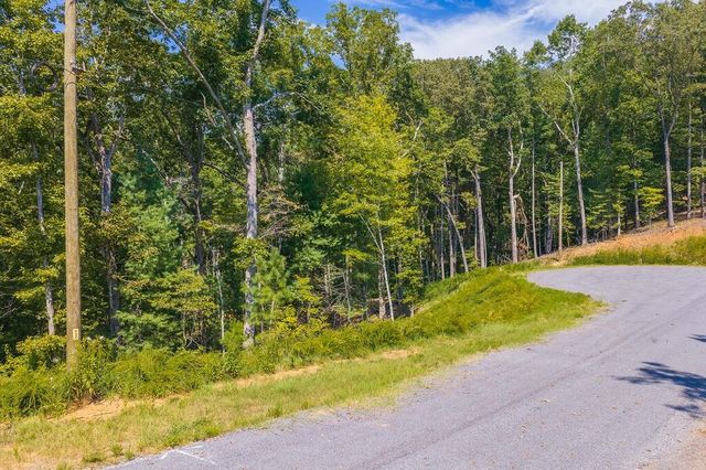 0 Lower Knoll Court, Talking Rock, GA 30175