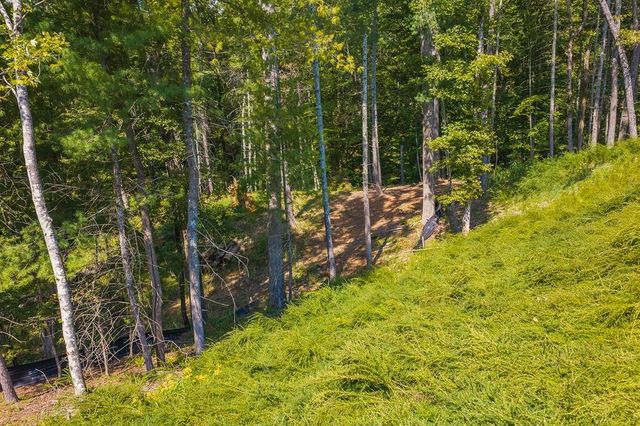 0 Lower Knoll Court, Talking Rock, GA 30175