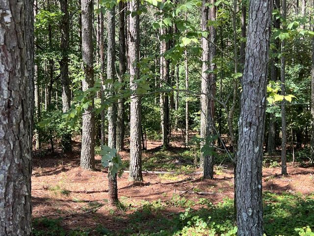940 Crockett Point, Jasper, TN 37347