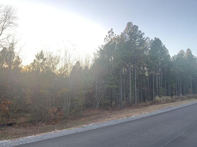 940 Crockett Point, Jasper, TN 37347