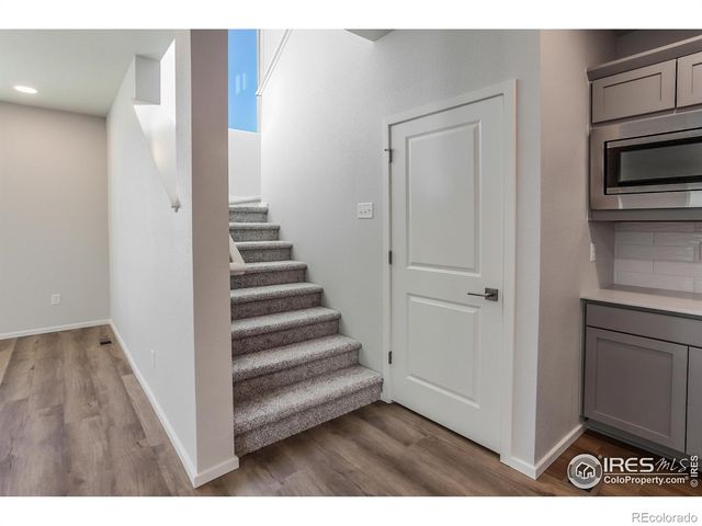 5409 Yancy Street, Timnath, CO 80547