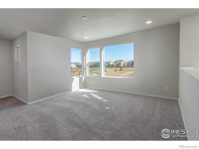 5409 Yancy Street, Timnath, CO 80547