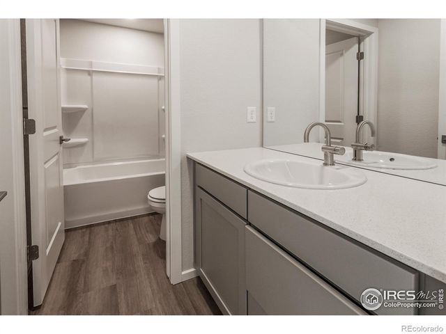 5409 Yancy Street, Timnath, CO 80547