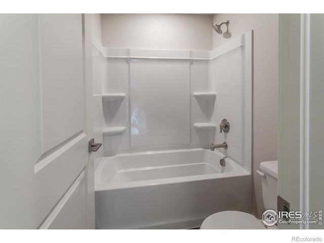 5409 Yancy Street, Timnath, CO 80547