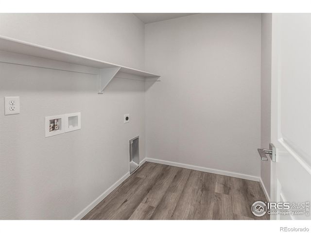 5409 Yancy Street, Timnath, CO 80547