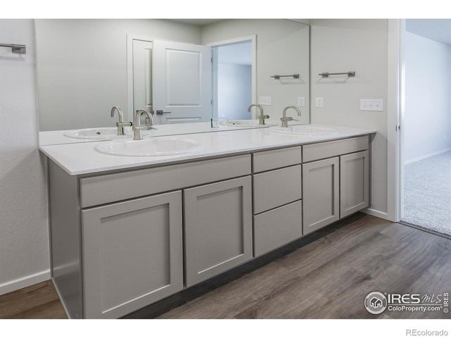 5409 Yancy Street, Timnath, CO 80547