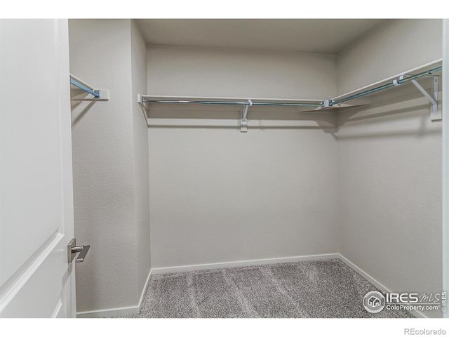 5409 Yancy Street, Timnath, CO 80547