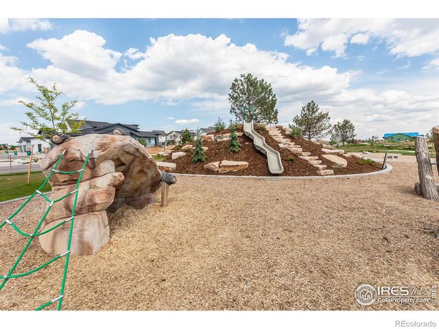 5409 Yancy Street, Timnath, CO 80547
