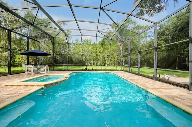 12012 RAMBLING OAK BOULEVARD, Orlando, FL 32832