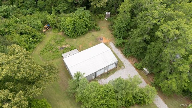 120 Magnolia, Centreville, AL 35042