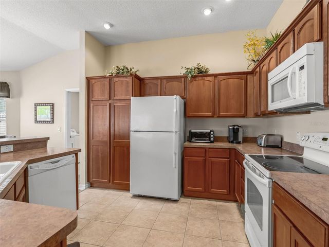 1134 SOUTHERN SUN DRIVE, The Villages, FL 32162