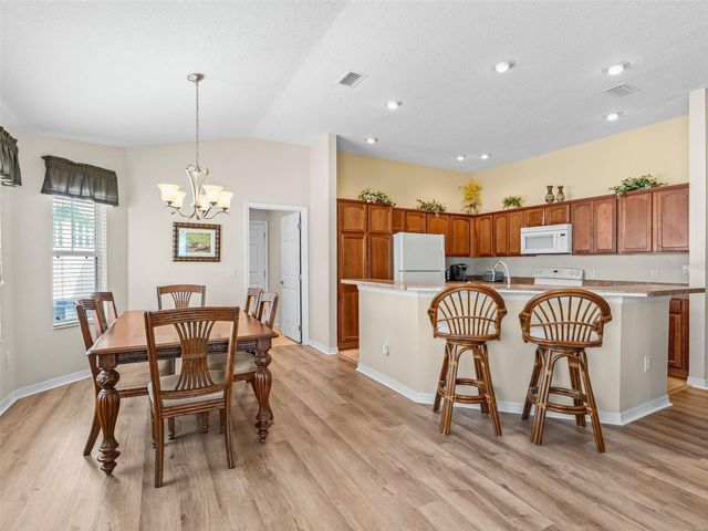 1134 SOUTHERN SUN DRIVE, The Villages, FL 32162