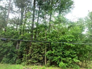 0 Hillendale Drive, Livingston, TX 77351