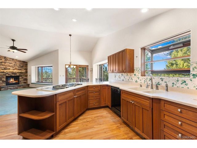 48 Walden Lake Cir, Divide, CO 80814