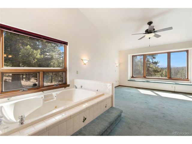 48 Walden Lake Cir, Divide, CO 80814