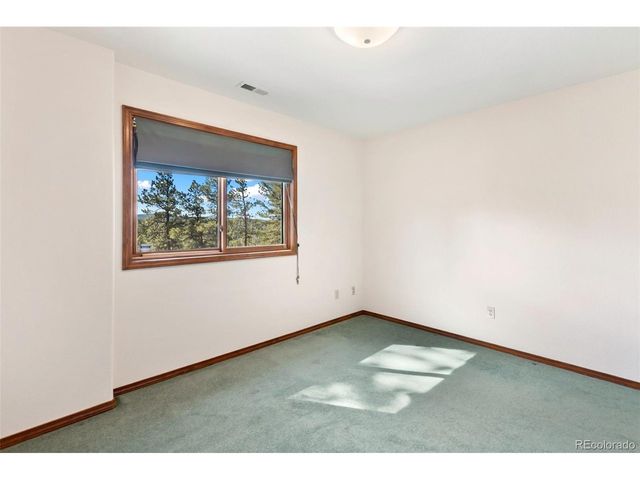 48 Walden Lake Cir, Divide, CO 80814